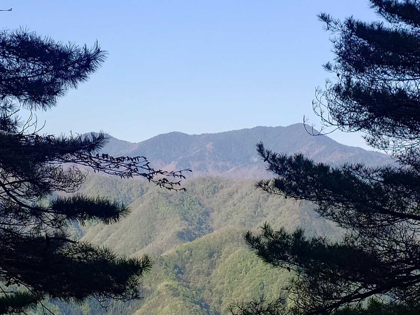 丹波役場前バス停-丹波バス停-サオラ峠-熊倉山-前飛竜-飛 周回コースの写真