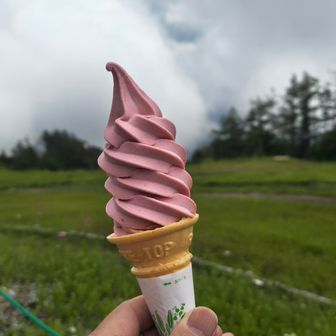ゴンドラ駅でソフトクリーム
500円