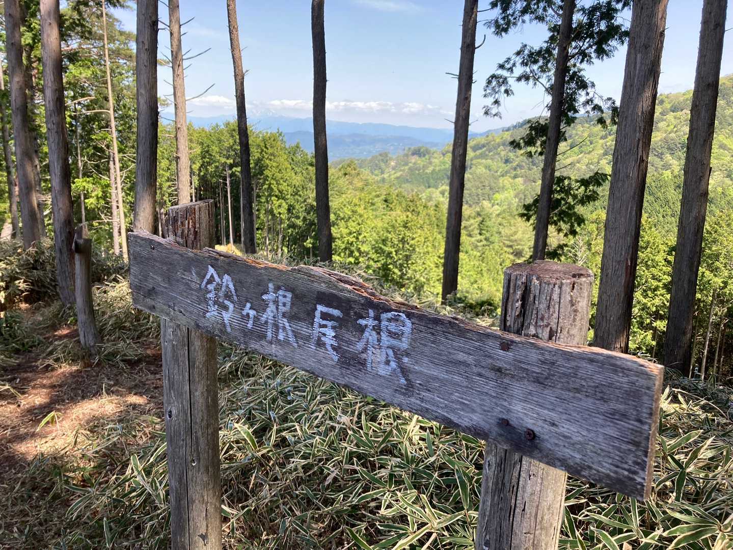 三森山-水晶山 周回コースの写真