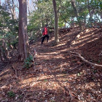 堀切のところから副郭に入ってみました。
