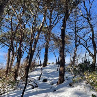 もう少しで音羽山山頂⛰️