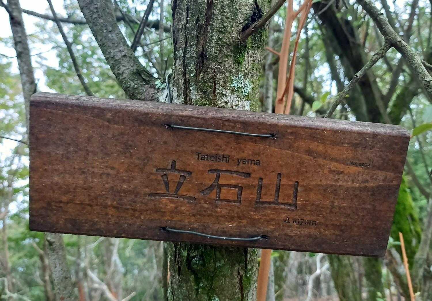 山頂をあとにして
景色の見える場所へ