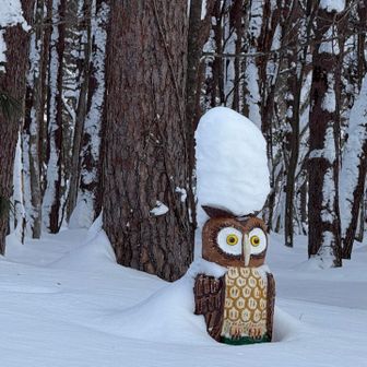 フクロウさんにも背高帽子