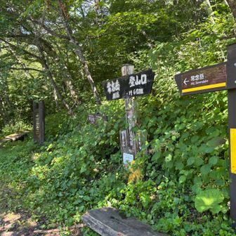 一ノ沢登山口に到着
ここからタクシー乗り場迄車道歩きが30分程