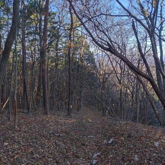 グングン下っていきます