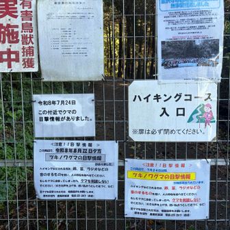 7月から熊目撃多数だそうです
要注意