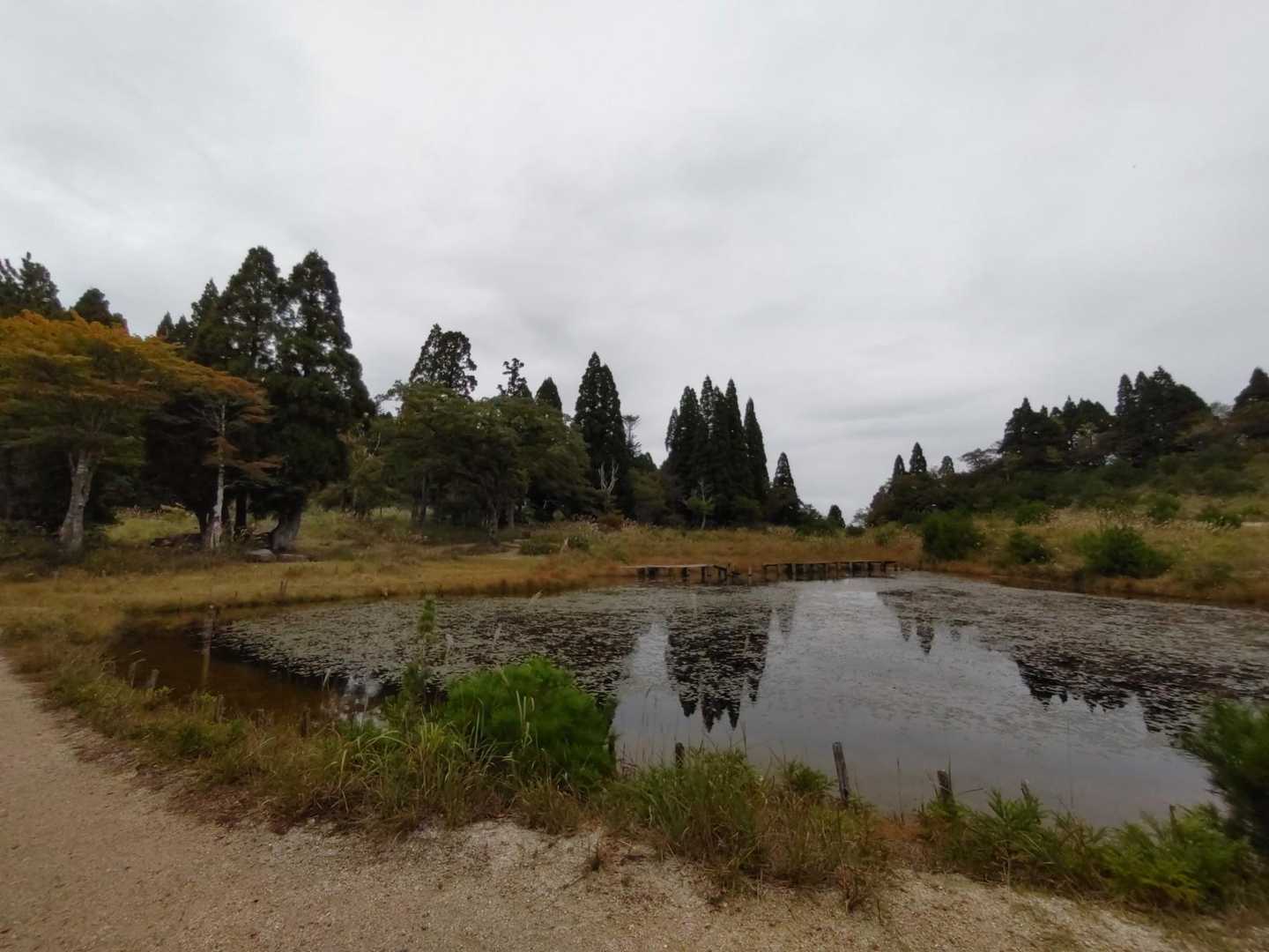 武奈ヶ岳-細川越 周回コースの写真