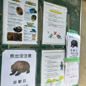 ちょ、待てよ‼️

通ってきた尾根、熊情報だらけ😅