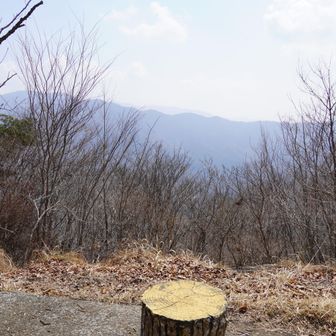 菜畑山からは南東～南側に眺望が開けていた。

川崎市方面（というか関東平野方面）の眺望があればいいなと思っていたが、残念ながらそちらには開けてなかった。