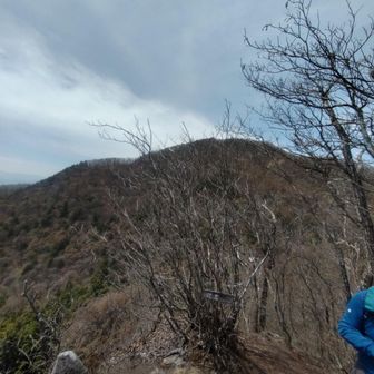 では一旦分岐に戻って山頂へ向かいましょう!