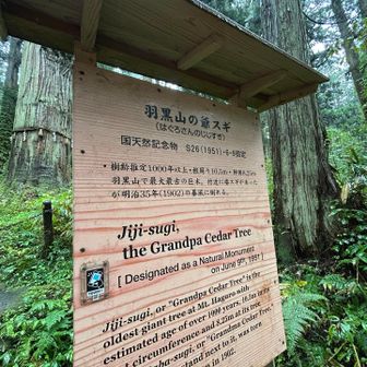 ジジイって言われたくないよね〜🌲