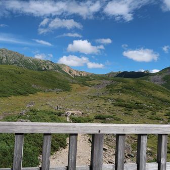 ２階テラスから