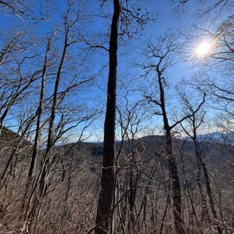 いい天気だ☀️