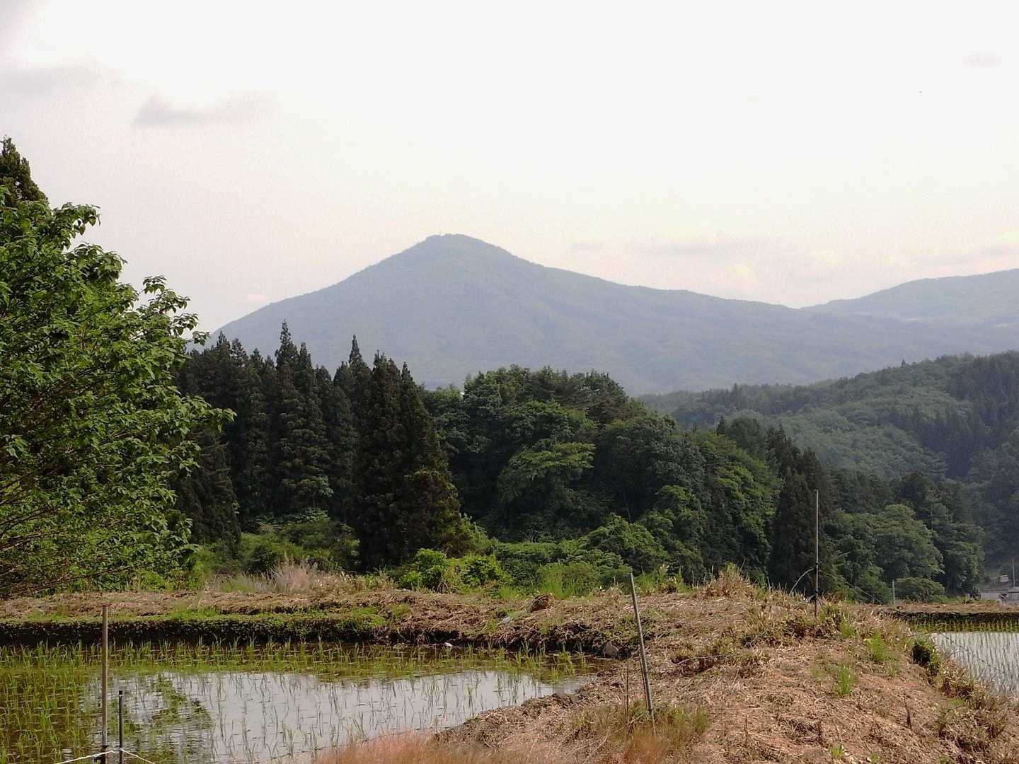 『蓬田岳』あそこはシバザクラの時が何といっても一番！今年は逃してしまったな～‼

山にも旬がある❣来年こそは...👊