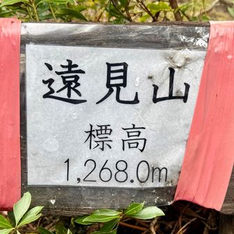 今回の阿蘇デジタルバッジ「夫婦滝」のチェックポイント。南小国の夫婦滝との関連はあとでなんとなくわかった😏