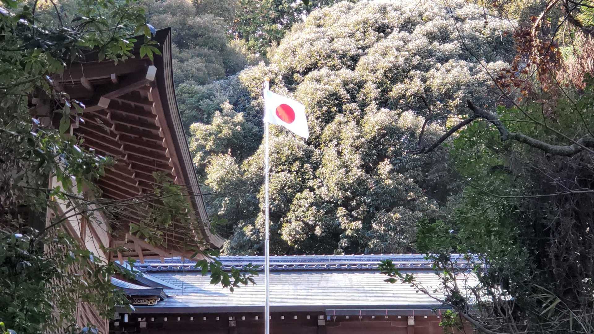 NIPPON✨🇯🇵