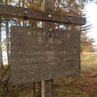 三ッ峠を構成するピークの一つ木無山山頂、山頂ぽさはありません