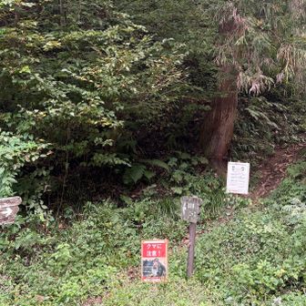 また登る