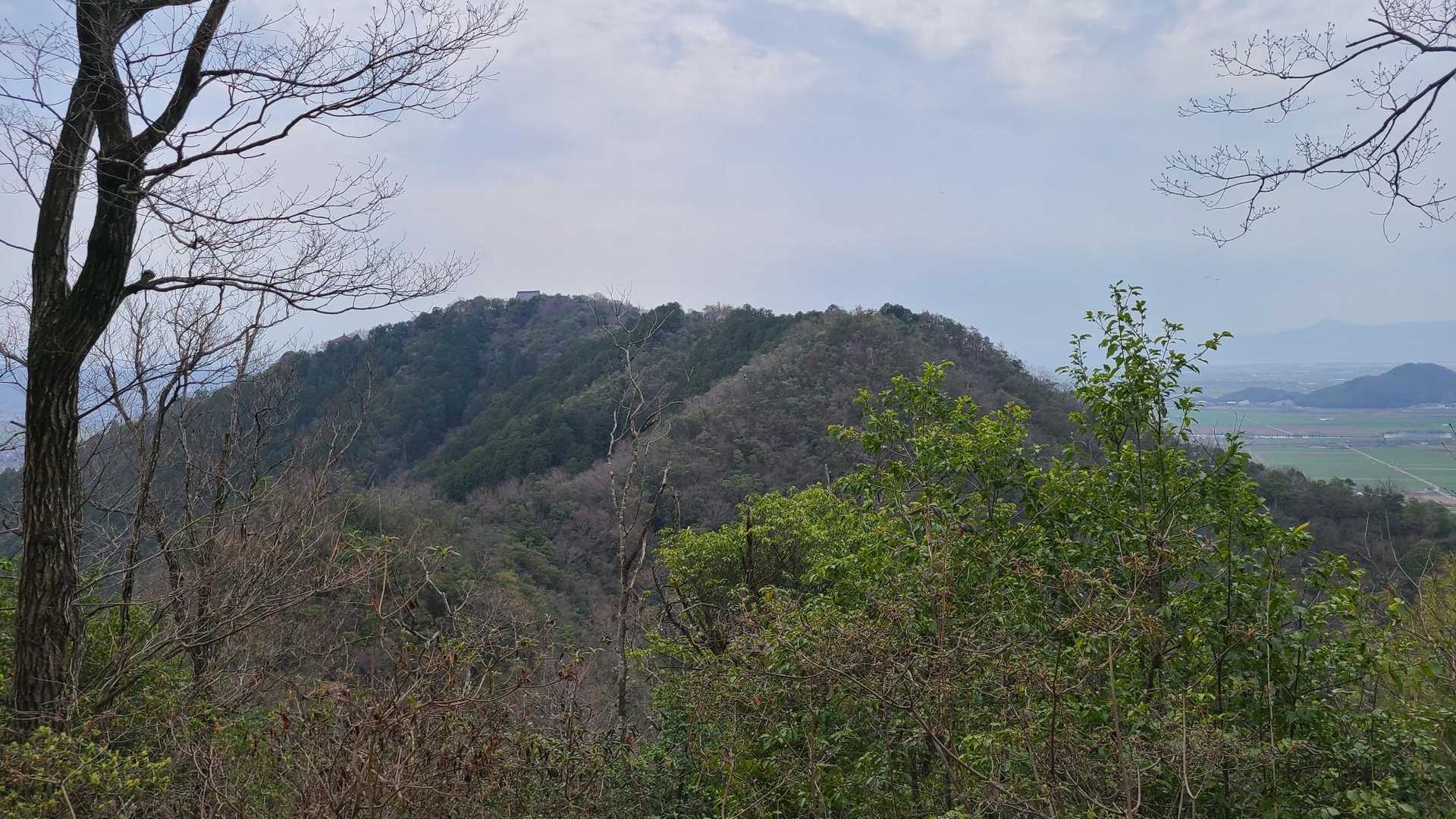 山頂ははるか向こうに