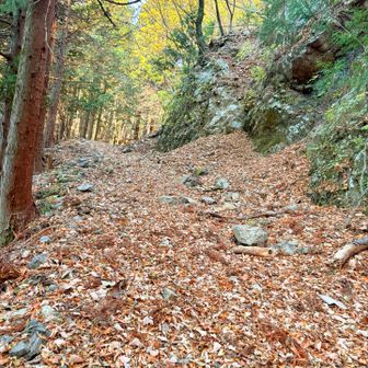 バリエーションルートの取付が見つからずうろうろ🧐