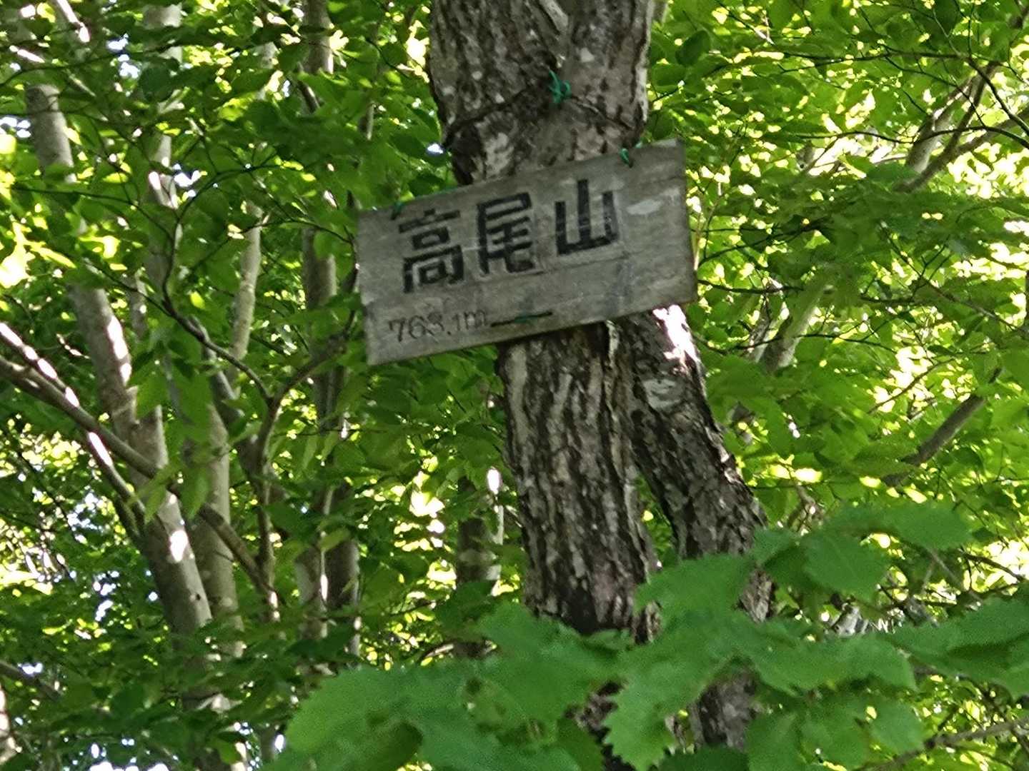 山名板は3メートル上に。⛄が…
🧔‍♂「夕方に帰れば良いから、奥高尾山ピストン行くか❕」…ところが、☂👩「🐶の散歩グッズが無い😥」🧔‍♂「あっ、信州三昧で🚗に積んだっけ…」