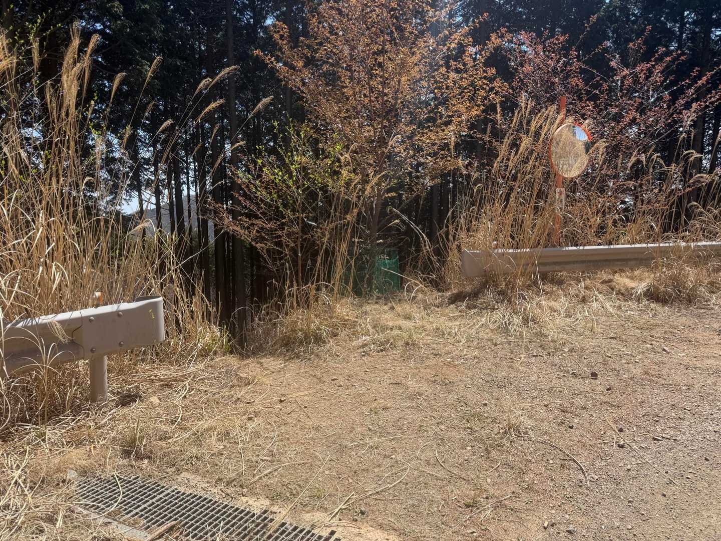 舗装道路に出たらココを降る
カーブミラー🪞が目印に
