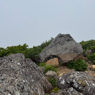 行きに撮り忘れた、鳥海山のピーク