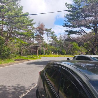 烏帽子岳登山口。新湯温泉前からスタート。車は路肩に車２台しか無く、花があるか心配。