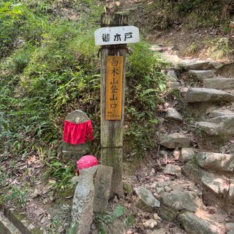 熱中症警戒アラート☀️＜貧乏症💸
圧倒的に貧乏症の勝ちで2回目😩