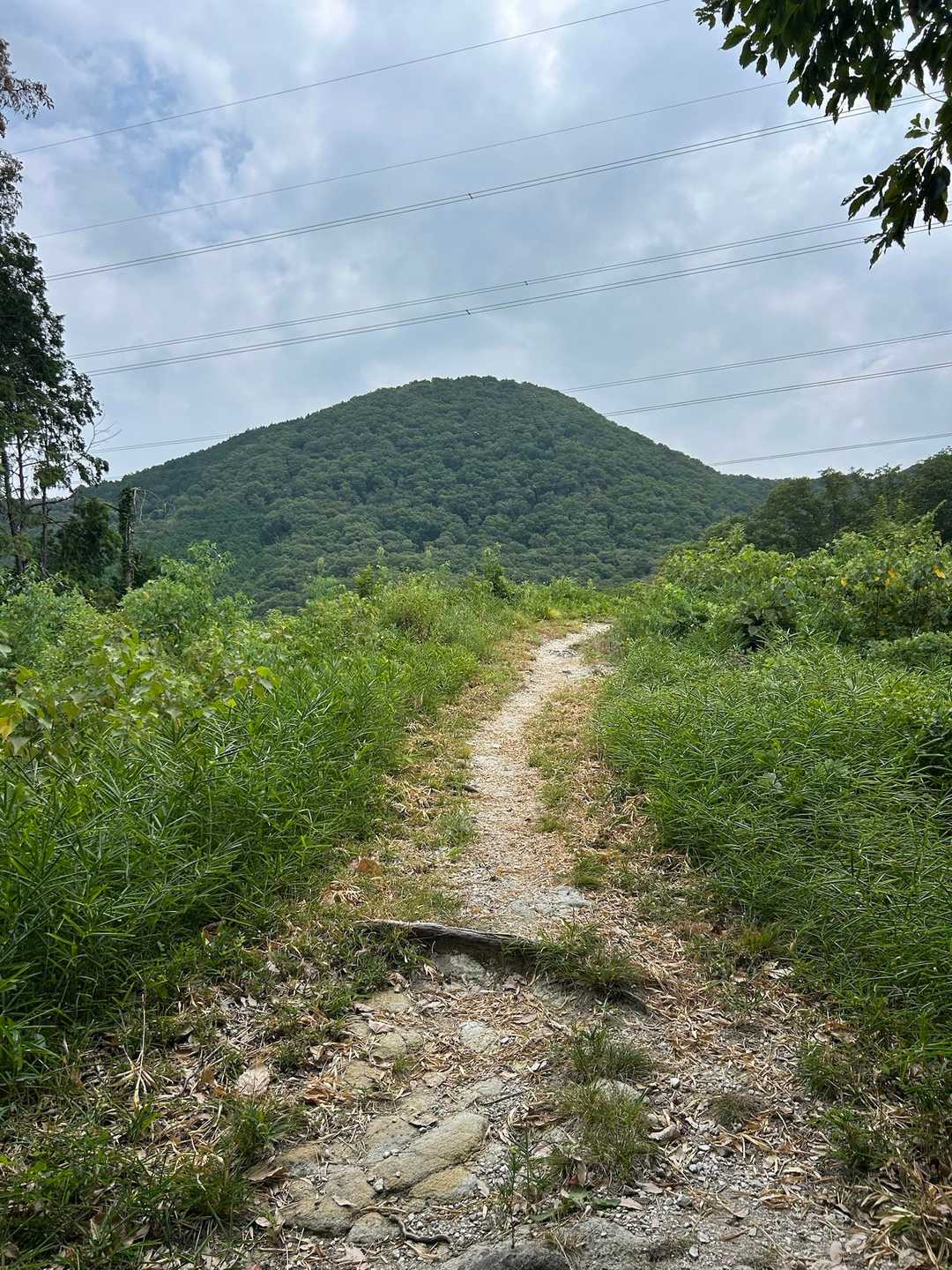 穴虫峠-ダイトレ北入口-二上山 往復コースの写真