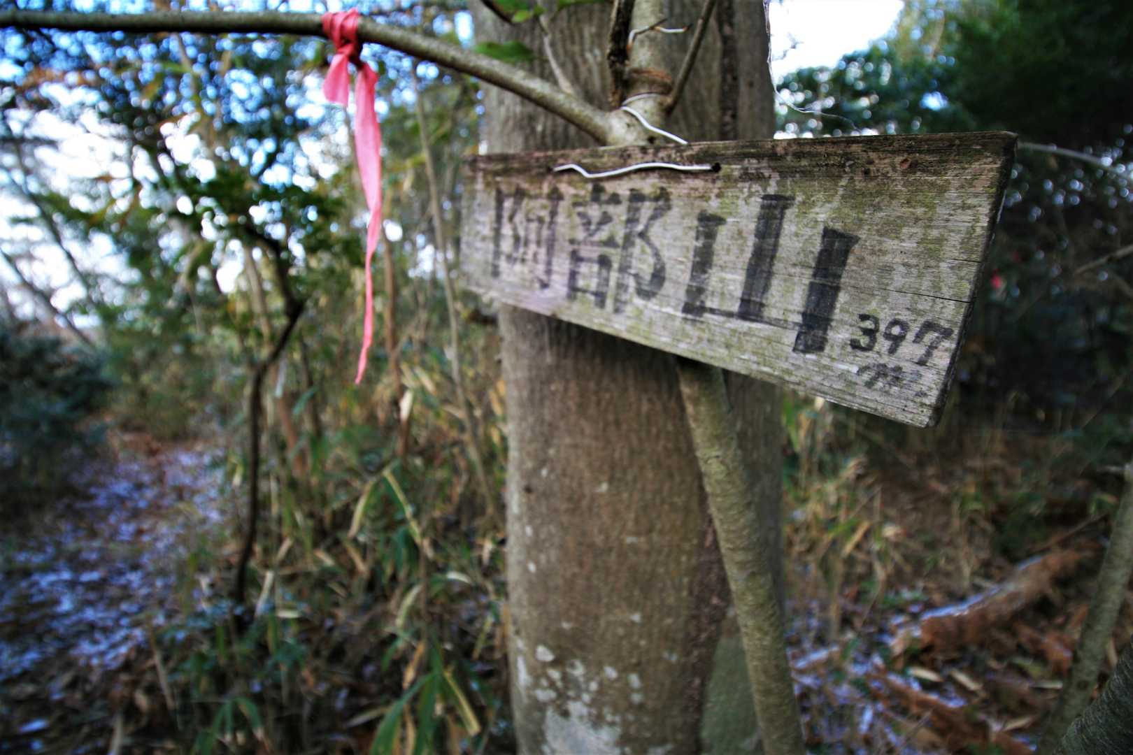 阿部山のランドマークはここだけでいいのでは...