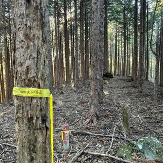 こんなテープがあったみたいなんだけど、踏み跡みたいなのは、右手まっすぐなんです。だから、そのまま進みましたよ。
で、帰りにこのテープを発見しました。まぁ、間違ったけど、楽しかった。