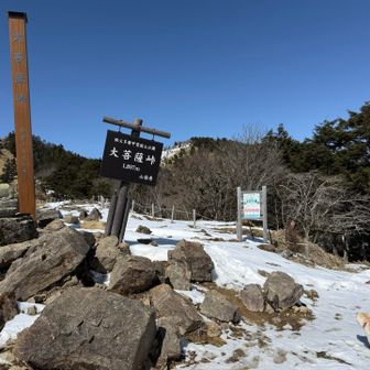 はなも見上げて