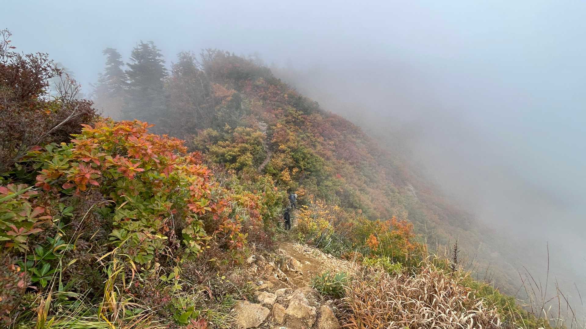 赤頭山方面へ少し足を進める。紅葉の山肌とエメラルドグリーンのダム湖がチラチラ…。
晴れてたらここがベストっぽい。