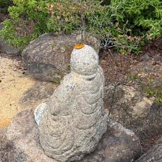 だんだん可愛く思えてきたで
