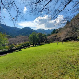 松阪市森林公園に戻ってきました🙌