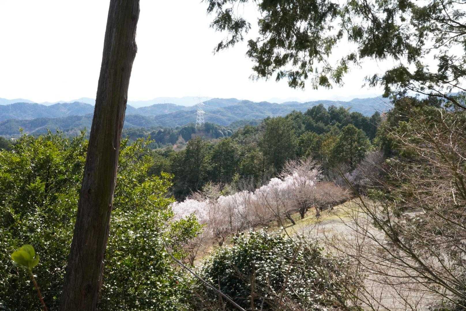 高沢山 往復コースの写真