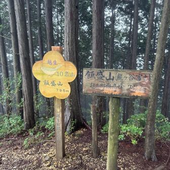 10名山