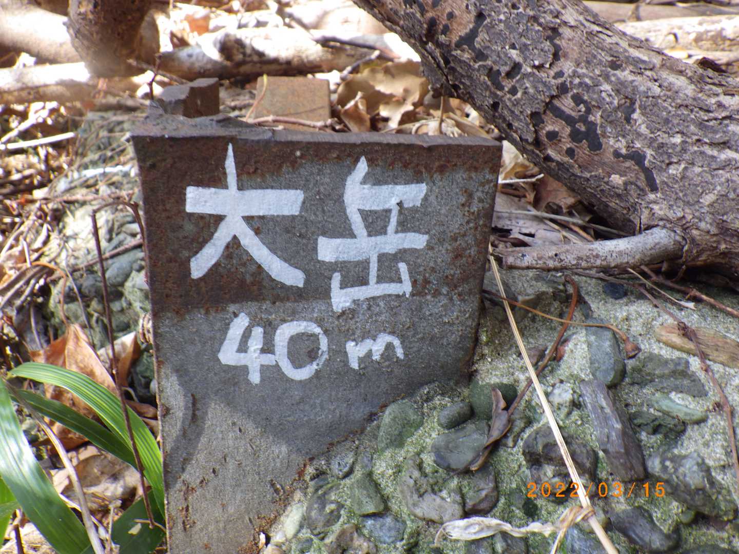 大岳 縦走コースの写真