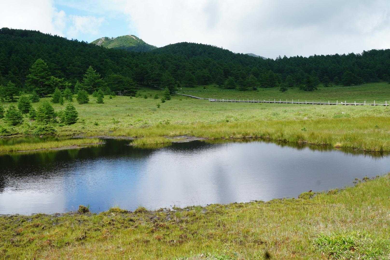 池の平です。こうやって見ると、池塘があるように見えますが、この鏡池だけ。殆ど干上がってしまっていて、笹原になってました。花もほぼ咲いてません。