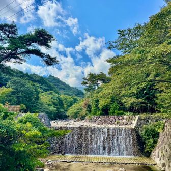 天気良くなった☀️