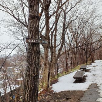 小ナマコ山頂上