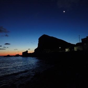海岸から