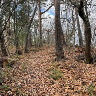 月山神社方向へ