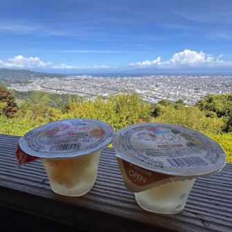 気持ちの良い景色を眺めながらまたまたゼリー笑
