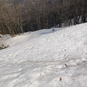 お宮から山頂碑迄の尾根筋、雪で道無し(苦笑)