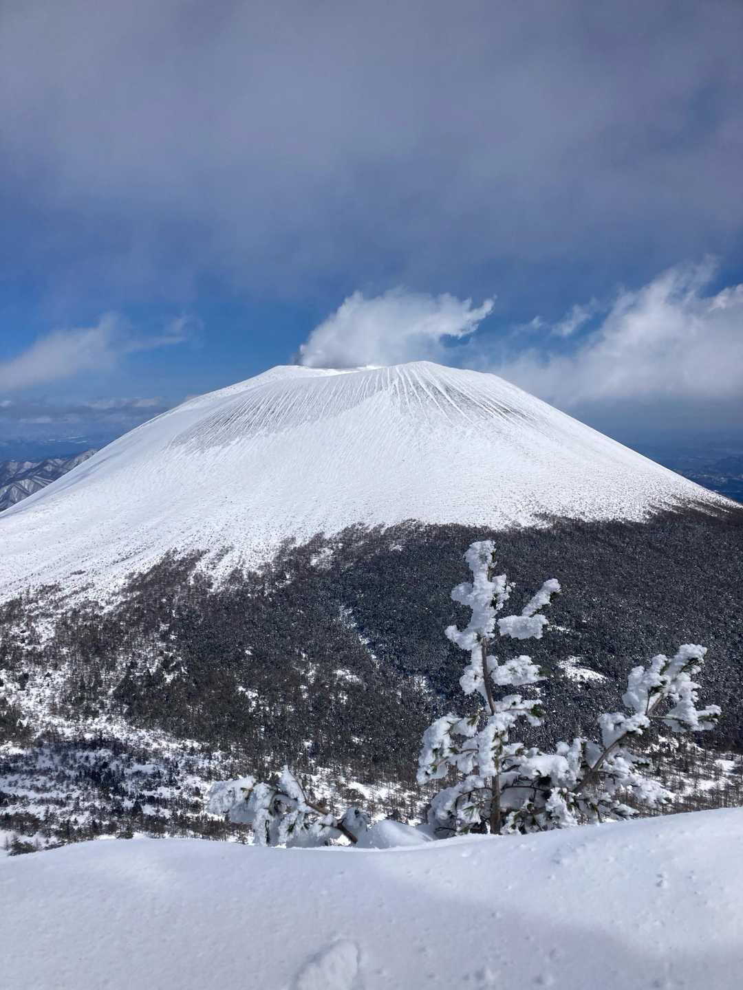 晴れた
