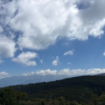 今日の『白山』恥ずかしがり屋さん