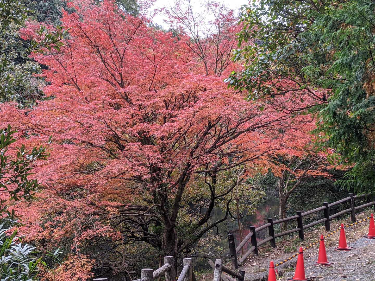 鎮西山-鷹取山 周回コースの写真