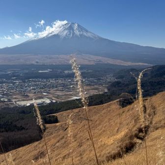 直ぐに超急登が💦
富士山バッチリ👌